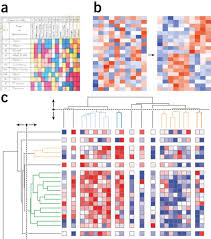 Image result for bioinformatics heatmap
