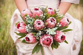 Order flowers and gift basket arrangements to south africa by 2pm local time and get your flowers delivered same day by the florists you choose in south africa. Bloved Uk Wedding Blog South African Inspired Shoot Kat Forsyth Photography 28 Unique Wedding Bouquet Vintage Wedding Flowers Protea Wedding