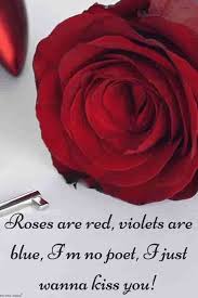 Check spelling or type a new query. Good Morning Love Quotes With Red Rose Hutomo