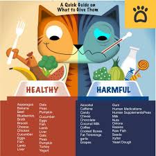 Can blueberries make a hamster sick? What Human Foods Cats Can Can T Eat Searching For A Healthy Snack For Your Cat Fortunately You Don T Have Foods Cats Can Eat Human Food For Cats Human Food