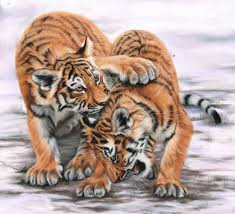 Tiger jigsaw is a funny jigsaw puzzle game which it is good for kids to know about animals. Solve Jigsaw Puzzles Online The Cubs