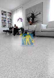Terrazzo Tiles Inside Home Floor Regular Size Traditional Design Terrazzo Terrazzo Flooring Terrazzo Tiles