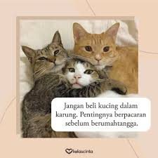 We did not find results for: Kc Star V Twitter Nikah Tanpa Pacaran Bagai Beli Kucing Dalam Karung Kenapa Coba Cek Di Sini Deh