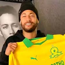 French Bulldogs and Pool Covers