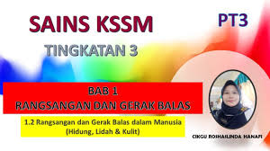 Set ini mengandungi 15 soalan berkaitan dengan rangsangan dan gerak balas badan manusia. 7 25 Mb Rangsangan Dan Gerak Balas Dalam Manusia Download Lagu Mp3 Gratis Mp3 Dragon