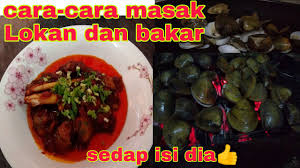 Balik rumah terus saya google cara kendalikan lokan … Cara Cara Masak Lokan Dan Bakar Lokan Youtube