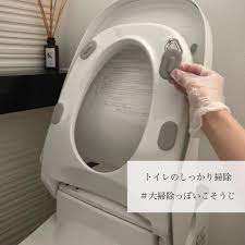 満月 on instagram トイレの画像失礼します 今日は便座裏のゴムを外して泡ハイターして除菌しました 毎日拭いてるので汚れているようには見えなかったですが 不潔になりやすい箇所だと思うのでこれからもたまにやろうと思います 掃除 ハイター