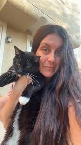 older cat with chronic kidney disease and skin issues?