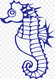 Eric carle's artwork always inspires me, so this little seahorse craft was inspired by his book mister seahorse. Mister Seahorse Coloring Book Seahorse Child Animals Vertebrate Png Pngwing