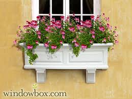 Winter window boxes christmas window boxes window box flowers flower boxes container plants container gardening succulent containers container flowers vegetable gardening. White Window Box Self Watering Planter Box Windowbox Com