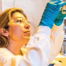 Council of Experts Activities