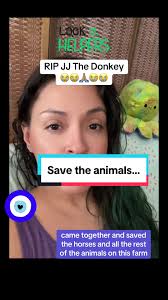 Wedding Venue Donkey Helene