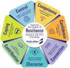 Building Resilient Futures: Empowering Youth Using the 7Cs ...