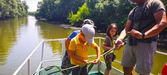 Se discuta intens despre scaderea periculoasa a nivelului dunarii, iar in portul tulcea se. Circuit Excursie Lenta De O Zi In Delta Dunarii Cu Vaporas Program De Grup 2020 Romania