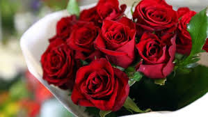 Red roses are the most popular valentine roses. Valentines Day Are Red Roses Even Romantic Stuff Co Nz
