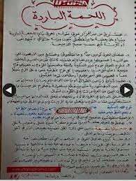 meat tenderloin arabic food egyptian food food menu