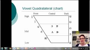 Cdis 4017 Chapter 4 Classification Of Vowels
