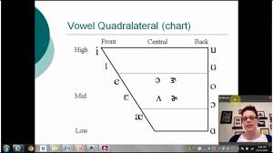 cdis 4017 chapter 4 classification of vowels