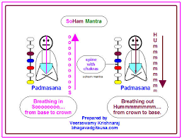 Mantra Stability, sameness, regular, rules, condition, responsibility, routine, frame.