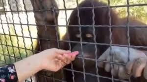 Erome bad gyal we caught up a bit while I appreciated her