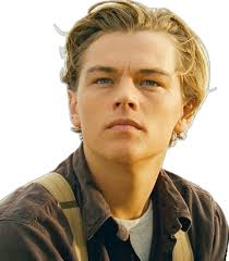 Which actor would've been the perfect choice to play Spider Man/Peter  Parker if Tobey Maguire wasn't casted?