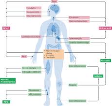 It was first identified in december 2019 in wuhan,. Systemic And Organ Specific Immune Related Manifestations Of Covid 19 Nature Reviews Rheumatology