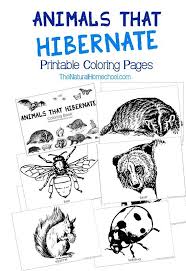 Animals That Hibernate In Winter Printable Coloring Book The Natural Homeschool Animals That Hibernate Hibernation Preschool Crafts Coloring Books