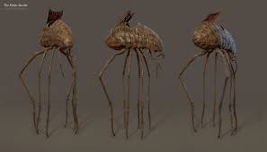 Image result for Silt Strider