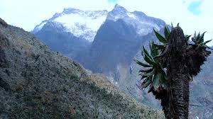 This is also known as the mountains of the moon and are mainly found in south western uganda. Rwenzori Mountains National Park