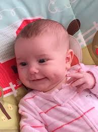 Majesty's Splendor paeonia flowers