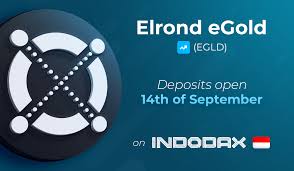 Indodax (previously known as bitcoin indonesia) is the largest bitcoin & digital assets exchange in indodax is a rebrand movement spearheaded by its ceo, oscar darmawan to realign the company's. Halo Indonesia 2 Million New Users Get Direct Access To Egld Via Idr Fiat On Indonesia S Largest Exchange Indodax Elrond