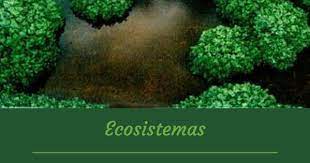 Pin En Ecosistemas