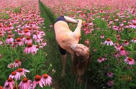 Half Moon Sugar Cane Pose In A Field Of Pink Yoga Practice Poses Yoga