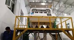 Split Blanched Peanut Color Sorter Machine Peanuts Color ...