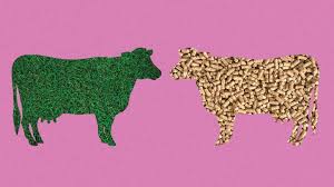 For farmers, grass fed dairy is a commitment to a way of life, and a way of farming. Grass Fed Butter Vs Regular Butter What S The Difference Everyday Health