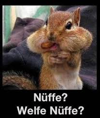 Whatsapp Bilder Top Seiten Fur Lustige Fotos Memes Und Bilder Bilder Bilderleiste Fotos Fur Lustige In 2020 Funny Photo Memes Whatsapp Pictures Funny Photos