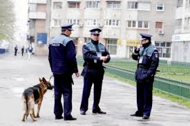 În prezent au fost depistate peste 300 de focare de pestă porcină și zeci de afaceri mici au fost închise. Foto Campina AlertÄ De Gradul Zero S A Intamplat La Un Centru De Plasament