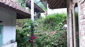 Berikan usaha kamu nama yang mudah diingat oleh pembeli. Viral Dusun Cimeong Kampung Mati Di Kuningan Berlokasi Di Perbukitan Begini Cerita Warga Tribunnews Com Mobile