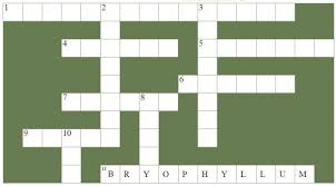 Each word search for 6th grade can be downloaded as a pdf, printed, or shared online. Cbse Papers Questions Answers Mcq Cbse Class 10 Science How Do Organisms Reproduce Formative Assignment