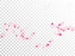 National cherry blossom festival, pink japanese cherry blossoms , pink flowers transparent background png clipart. Pink Cherry Blossom Petals Isolated On Transparent Background Royalty Free Cliparts Vectors And Stock Illustration Image 124044980