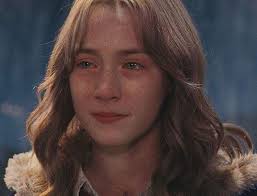 Heartbreaking movie about a dog's loyalty and relationship with its owner