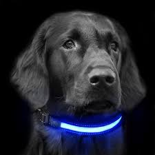 Low light conditions can be a real hazard for dogs. Led Cat Dog Collar Solar Power Usb Rechargeable Waterproof Flashing Light For Glowing Pet Improved Outdoor Visibility Night Safety Walmart Canada