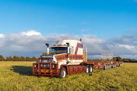 Image result for Mack Red 1995 Fleet