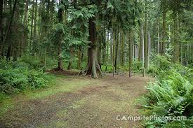 The park occupies 173 acres (70 ha) and has 6,700 feet (2,000 m) of shoreline. Camano Island State Park Campsite Photos Info Reservations