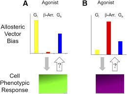 Is The Quest For Signaling Bias Worth The Effort Molecular Pharmacology