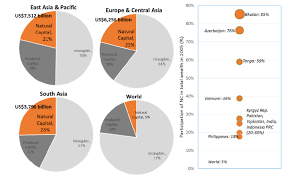 3 Wealth composition in Asia with ...