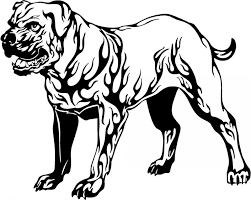 Home dog tattoo tribal pitbull dog tattoo on chest. Great Tattoo Designs Page 5 Tattooimages Biz