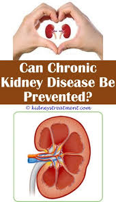 Kidney Disease Treats Kidney Disease Recipes Kidney Cleanse Kidney Disease
