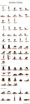 Urban Wired Yoga Benefits Yoga Postures Yoga Poses