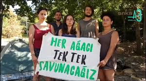 Tema vakfı, cengiz holding'in fidan bağışını geri çevirdi. Agac Temali Reklam Filmiyle Sempati Toplamaya Calisan Cengiz Holding In Agac Katliamlariyla Dolu Gecmisi A3 Haber